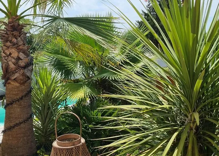 La Tonga - D'hotes A